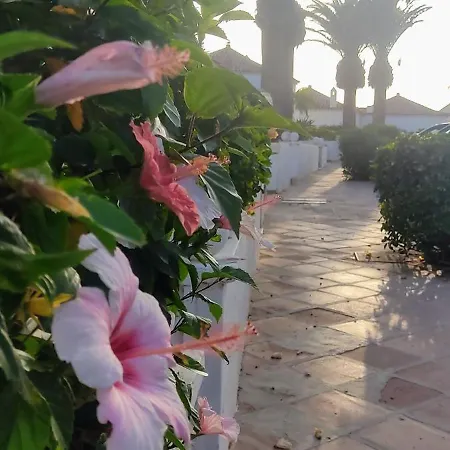 Promenade Paradise San Miguel de Abona